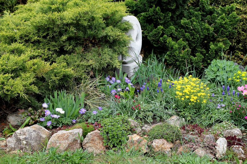 Rocaille avril 2012 (2)