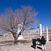 20120318 7937RWw [TR] Pergamon, Trajans-Tempel