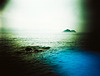 Lomo-sea