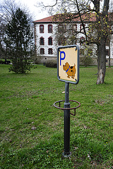 Hundeparkplatz?