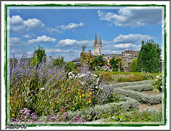 ANGERS