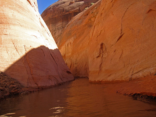 Lake Powell - Approaching A Slot Canyon (2434)