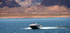 Lake Powell (5008)