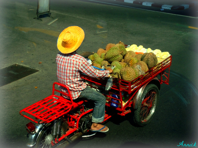 PORTEUR DE NOIX DE COCO ****