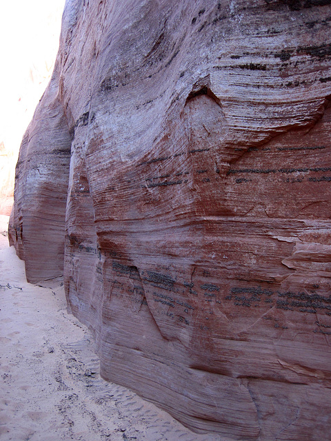 Slot Canyon (2445)