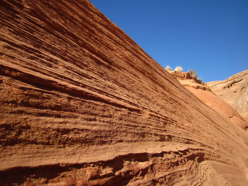 Slot Canyon (2521)