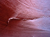 Slot Canyon (2538)