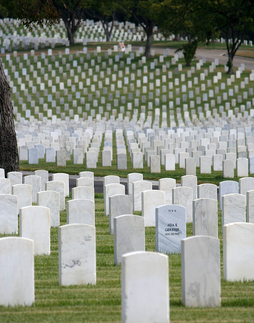 Los Angeles National Cemetery (5085)