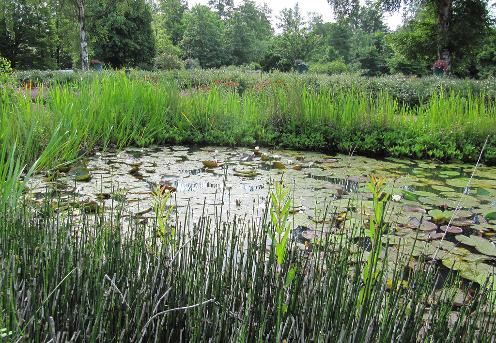Kleiner Teich