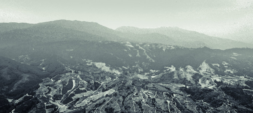 Panorama of Wuyi Tea Fields
