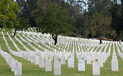 Los Angeles National Cemetery (5097)