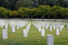 Los Angeles National Cemetery (5098)