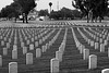 Los Angeles National Cemetery (5100A)