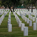 Los Angeles National Cemetery (5112)