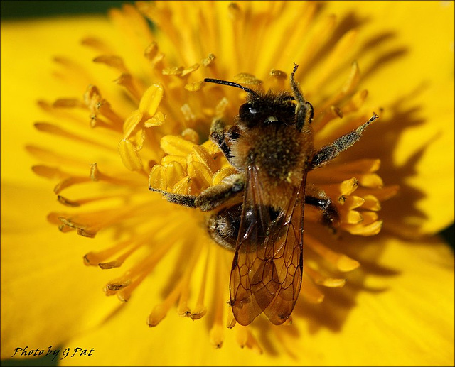 Tasting of a flower