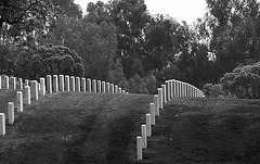 Los Angeles National Cemetery (5117A)