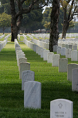 Los Angeles National Cemetery (5118)