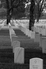 Los Angeles National Cemetery (5118A)