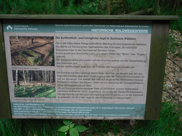 Knotenweg