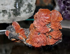 Baryte crêtée Baryte crêtée