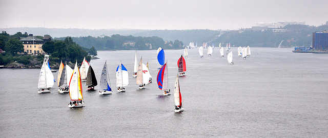 The start of "Round Gotland Race"