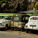 Jaffna taxis. Sri Lanka