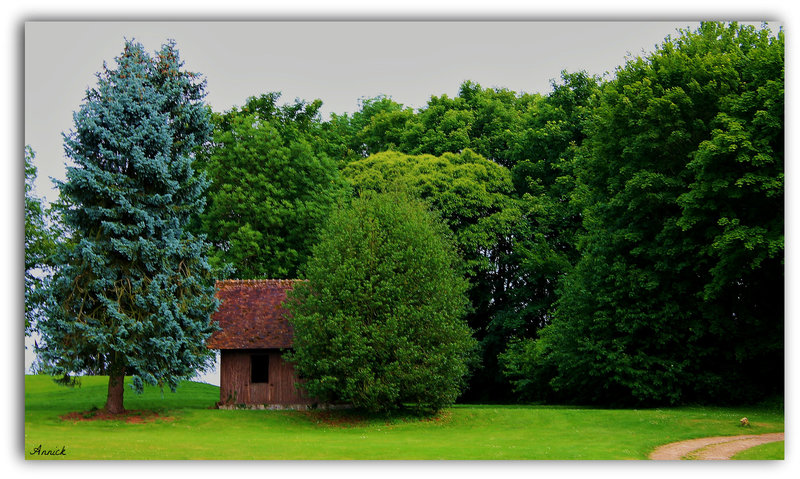 PETITE CABANE ***