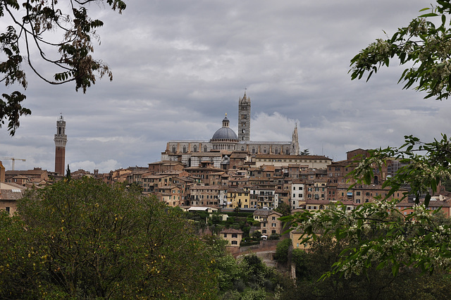 Blick auf Siena, Torre del Mangia  und Dom