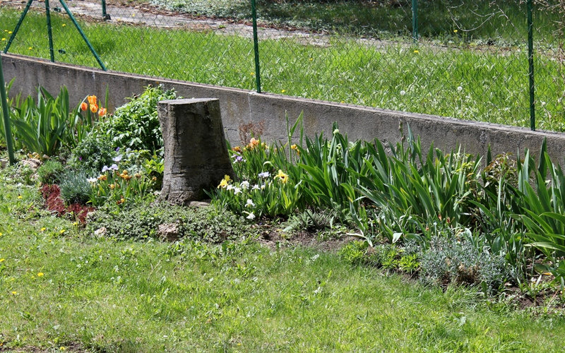 Jardin 2012