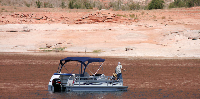 Lake Powell (4652)