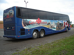 Great Canadian bus / Bus feuille d'érable - 16 août 2009.