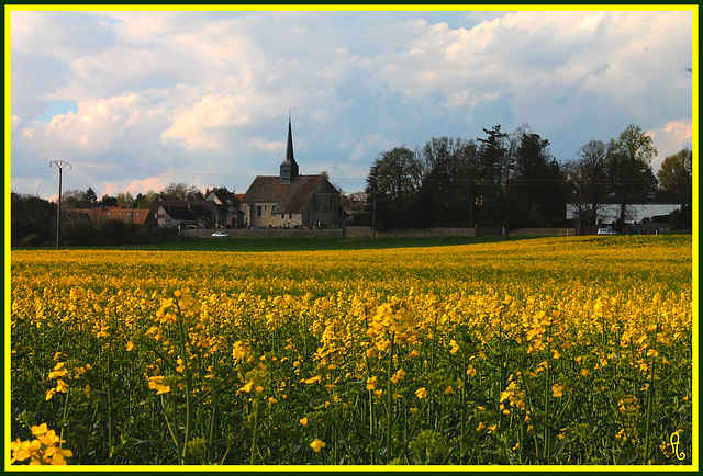 LES CHAMPS FLEURISSENT ***