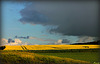 UN CIEL MENAçANT ***