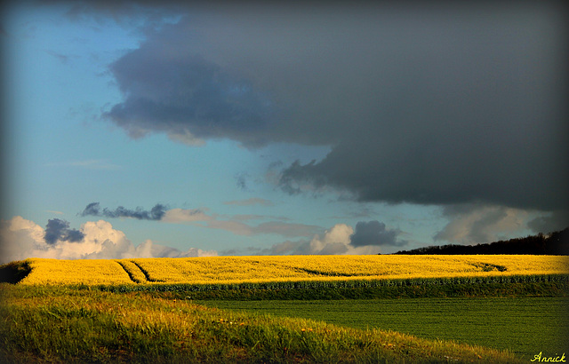 UN CIEL MENAçANT ***