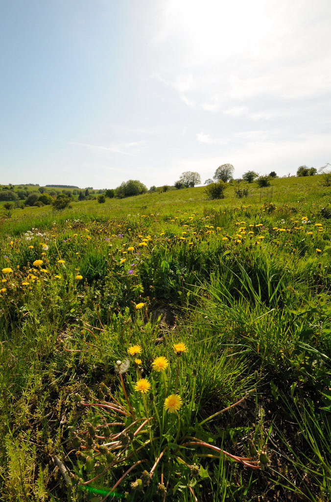 Hochrhön - Rhön - 120520