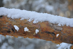 Wintermärchen