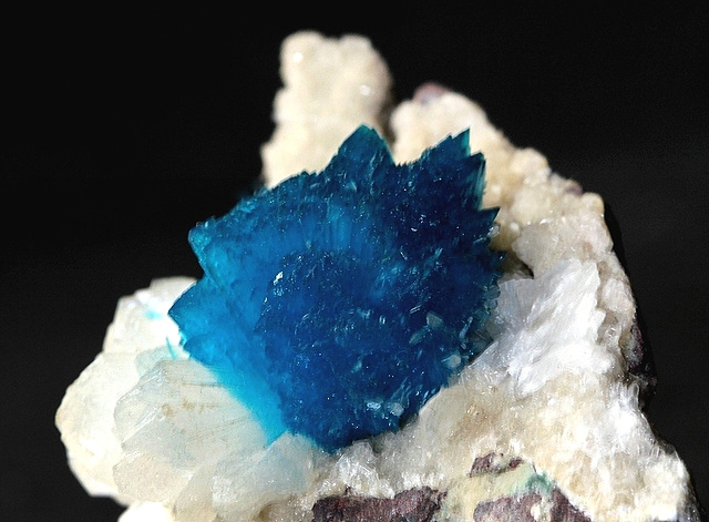 Cavansite sur gypse