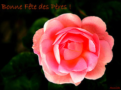 BONNE FETE DES PERES **** BONNE FETE DES PERES ****