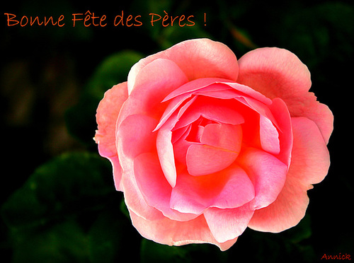 BONNE FETE DES PERES ****