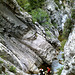 20120519 Aude canyon Clue de Termes (33)