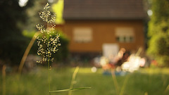 P6304396