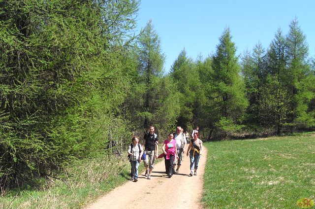 2012-05-01 25 Geising - Altenberg