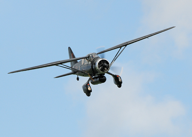 Lysander (b)