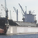 Containerschiff "CARLOTTA STAR" im Dock