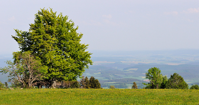 Hochrhön - Rhön - 120520