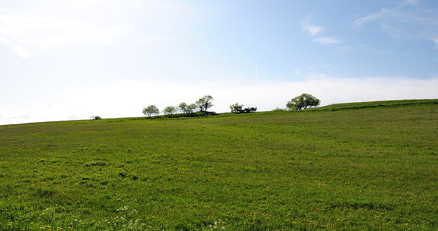 Hochrhön - Rhön - 120520