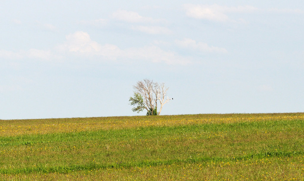 Hochrhön - Rhön - 120520