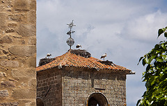 20120506 8985RAw [E] Kirche San Martin, Weißstörche, Trujillo, Extremadura