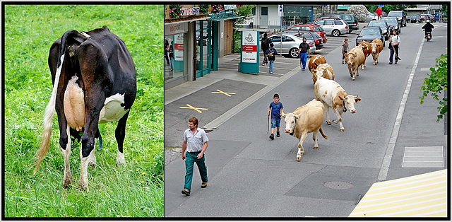 Redewendung rückwärts 41