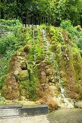 L'eau dévale les rochers couverts de mousses !